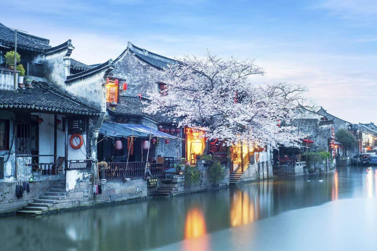 救援男孩与狗